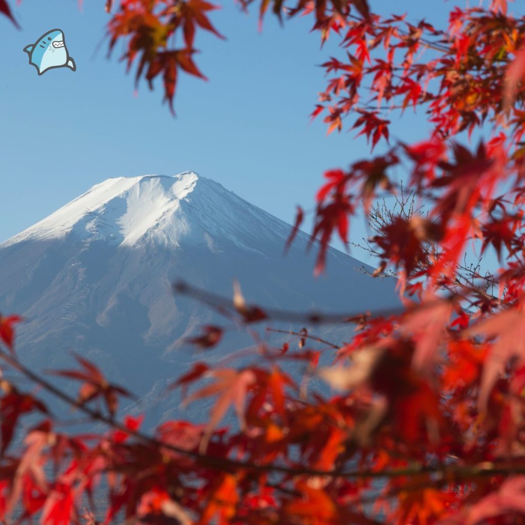 Pros of a 10-Day Trip in Japan