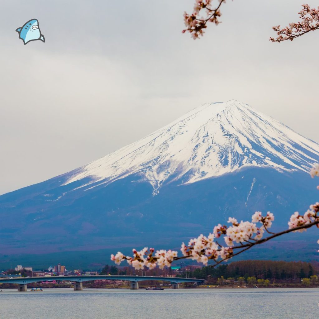 Day 4: A Day Trip to Mount Fuji