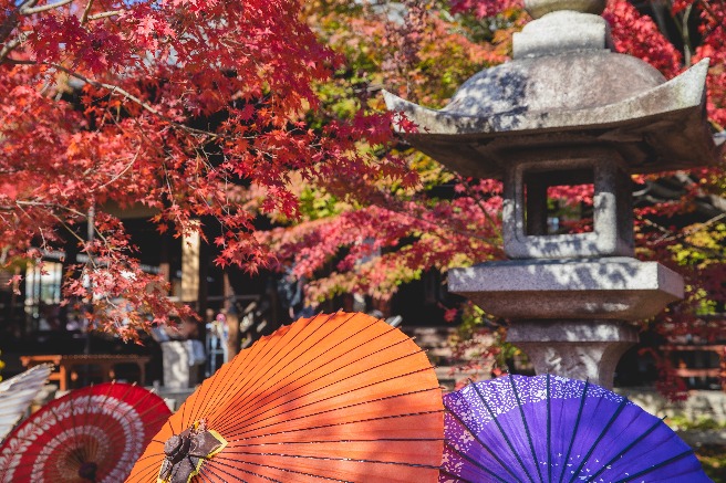 Japanese Lantern in an Autumn Garden