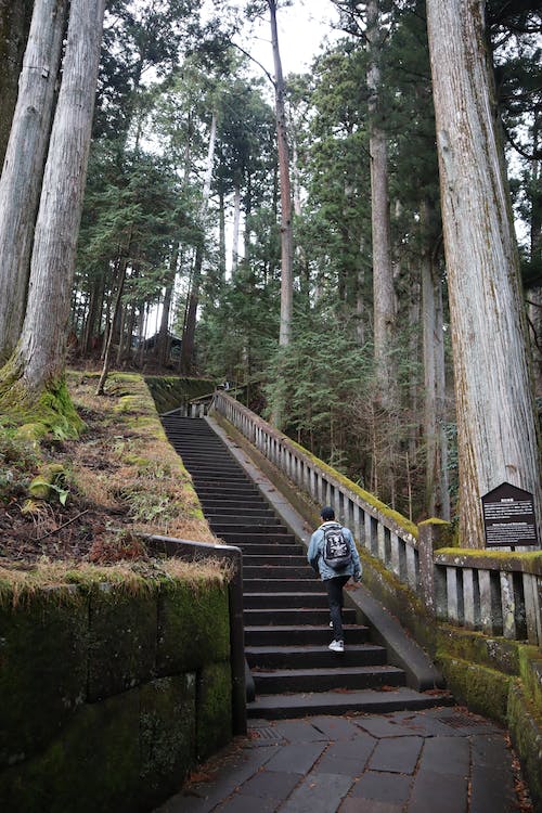 man climbing the flight of stairs route to the okumiya at Nikkō Tōshōgū