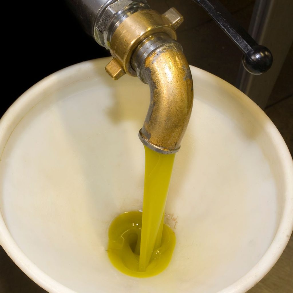 Olive oil juice gushes out from a factory faucet