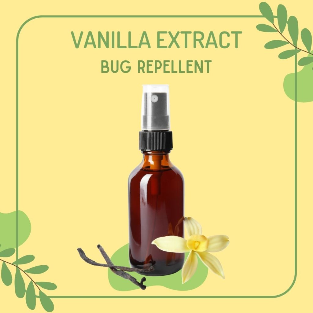 Vanilla extract bug repellent