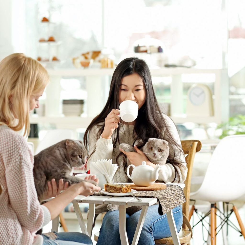 women in cat cafe