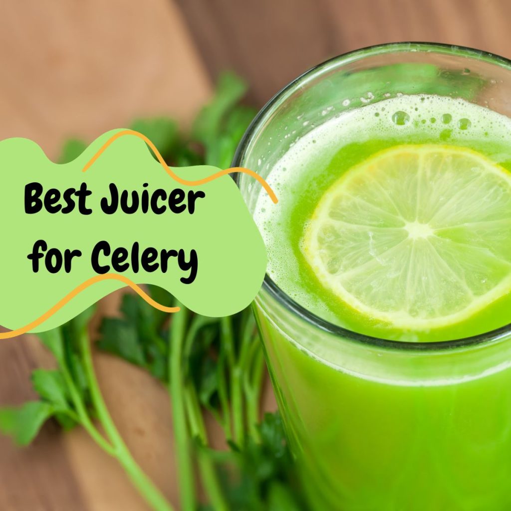 Best Juicer for Celery