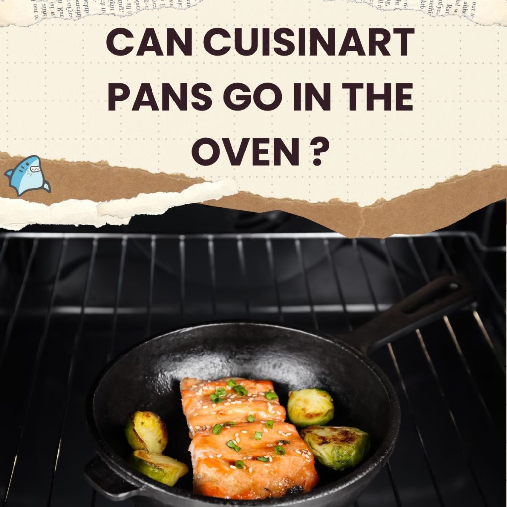 Frying pan that can go in the oven best sale