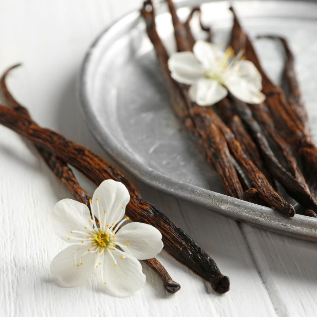 Vanilla beans and orchid flowers