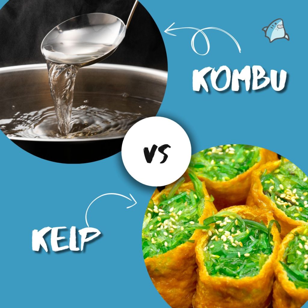 Kombu vs Kelp: Culinary Uses