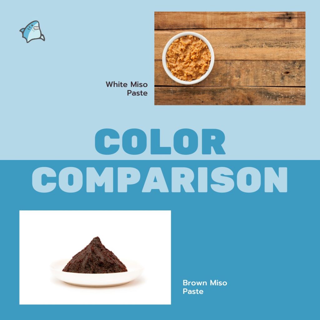 White Miso Paste vs Brown Miso Paste: Color Comparison