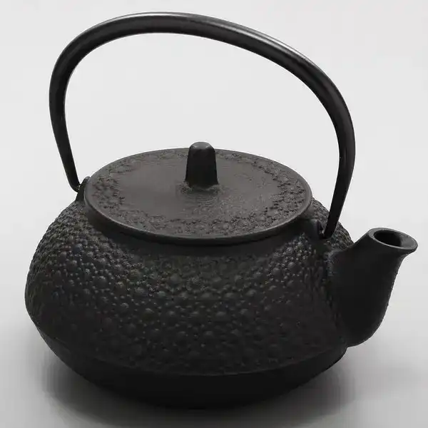 Nambu Tekki Tea Pot