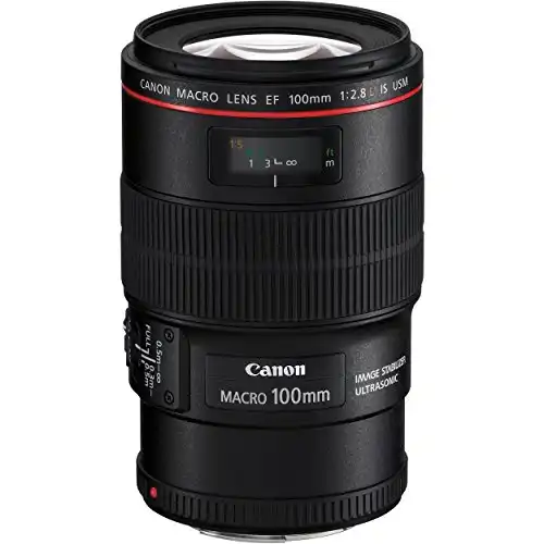 Canon EF 100mm f/2.8L IS USM Macro Lens for Canon Digital SLR Cameras, Lens Only