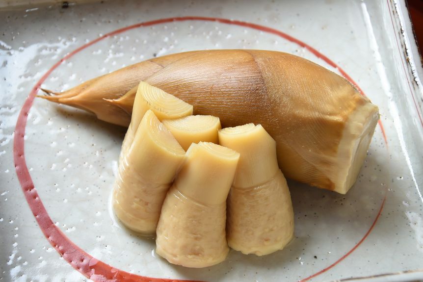 Japanese bamboo shoots in a plate.