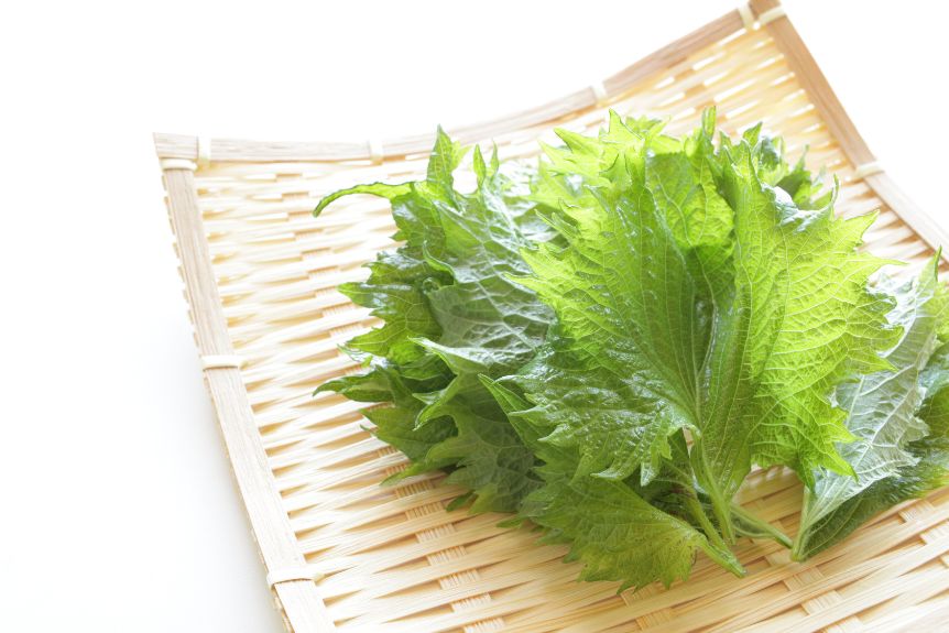 shiso Japanese herbs and spices on a wooden plate