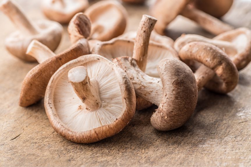 Shiitake Japanese mushrooms on a wooden board