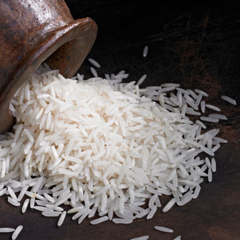 white rice as substrate