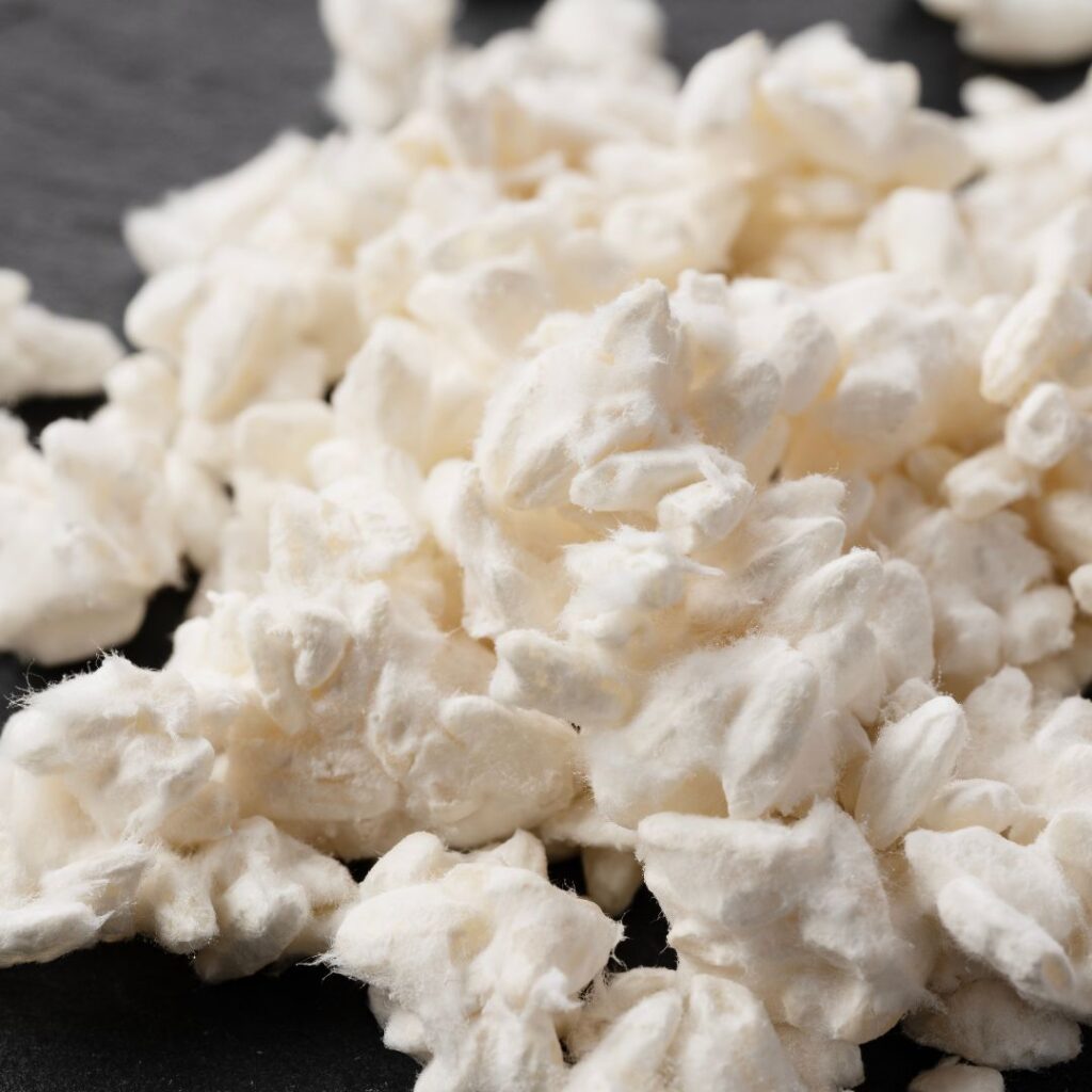 Is Koji Vegan? Discover The Truth About This Amazing Fungus