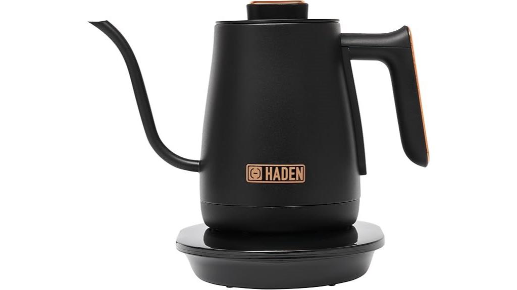 electric gooseneck tea kettle