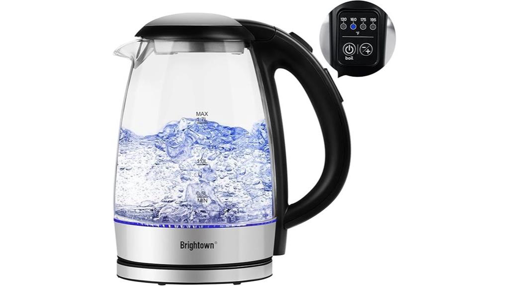 temperature controlled electric kettle